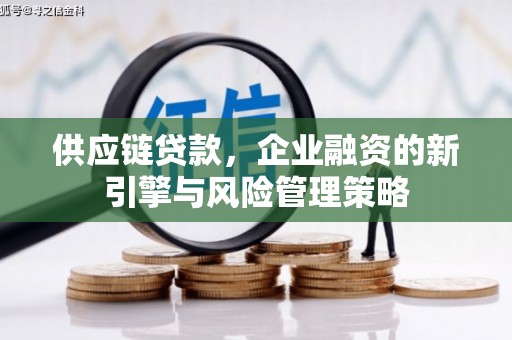 南长供应链贷款，企业融资的新引擎与风险管理策略