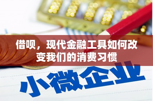 南长借呗，现代金融工具如何改变我们的消费习惯