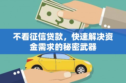 南长不看征信贷款，快速解决资金需求的秘密武器