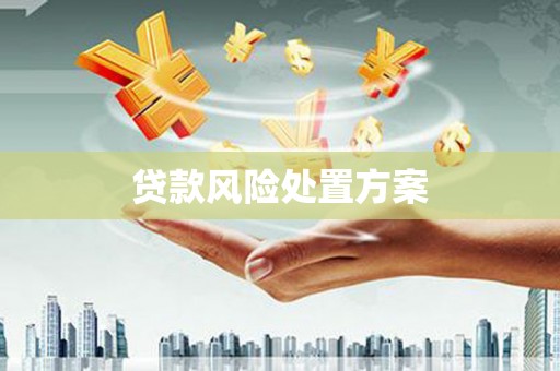 南长贷款风险处置方案