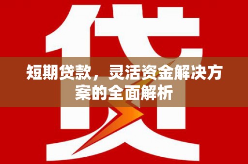 南长短期贷款，灵活资金解决方案的全面解析