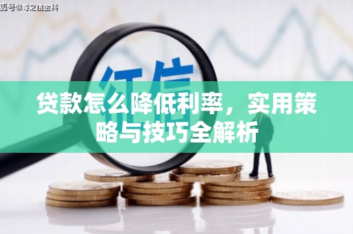南长贷款怎么降低利率，实用策略与技巧全解析