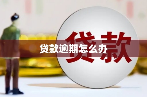 南长贷款逾期怎么办