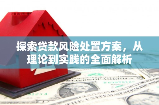 南长探索贷款风险处置方案，从理论到实践的全面解析