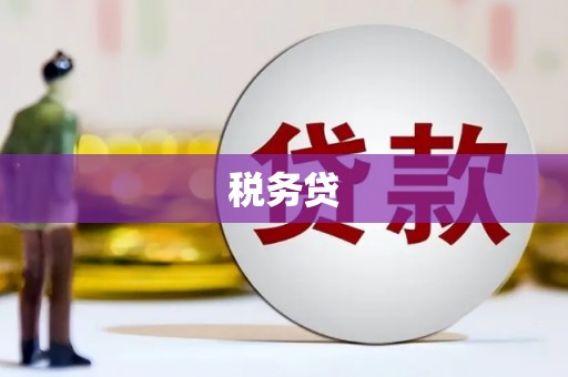 南长税务贷
