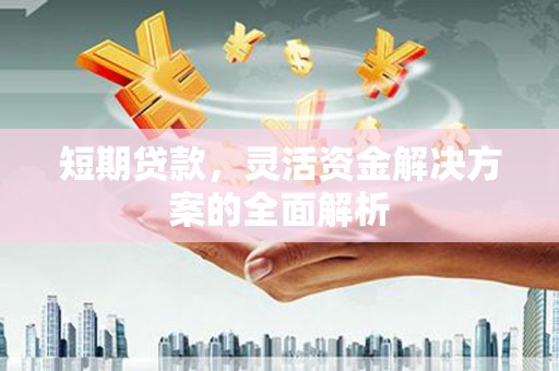 南长短期贷款，灵活资金解决方案的全面解析