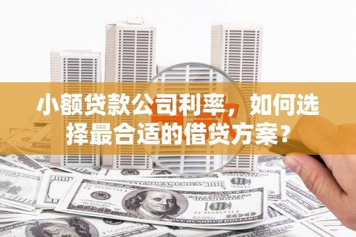 南长小额贷款公司利率，如何选择最合适的借贷方案？