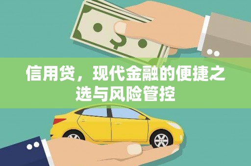 南长信用贷，现代金融的便捷之选与风险管控