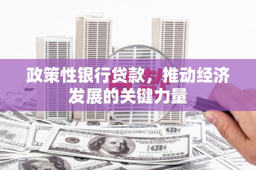 南长政策性银行贷款，推动经济发展的关键力量