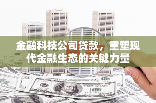 南长金融科技公司贷款，重塑现代金融生态的关键力量