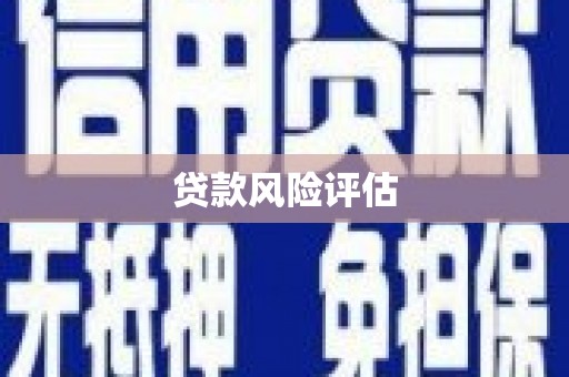 南长贷款风险评估