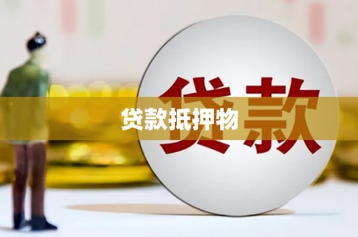 南长贷款抵押物