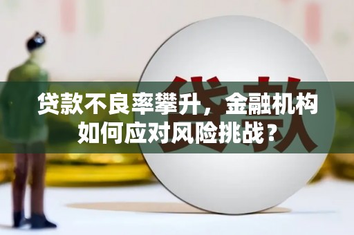 南长贷款不良率攀升，金融机构如何应对风险挑战？
