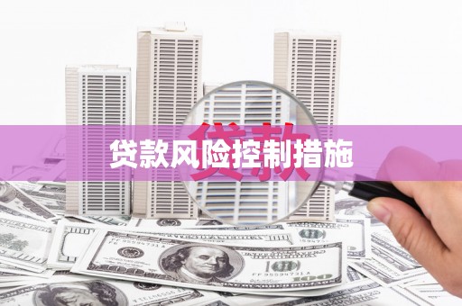 南长贷款风险控制措施