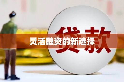 南长灵活融资的新选择