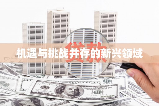 南长机遇与挑战并存的新兴领域