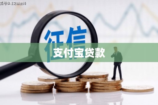 南长支付宝贷款